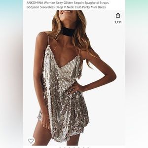 Ankomina silver sequin dress